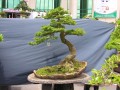 DSCN2795