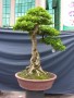 DSCN2797