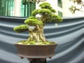 DSCN2799