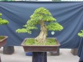 DSCN2735