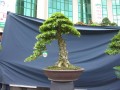 DSCN2747