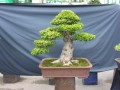DSCN2734