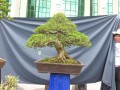 DSCN2738
