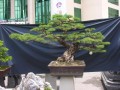 DSCN2783