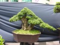 DSCN2790