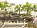 DSCN2774