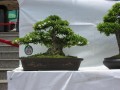 DSCN2819