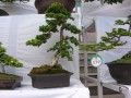 DSCN2828