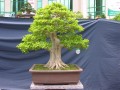 DSCN2796