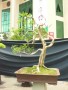 DSCN2802