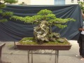 DSCN2779