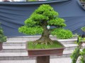 DSCN2763