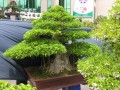 DSCN2794
