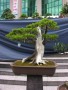 DSCN2769