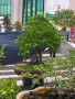 DSCN2773