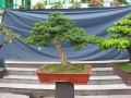 DSCN2760