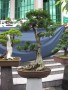 DSCN2770