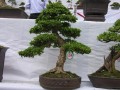 DSCN2831