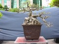 DSCN2791