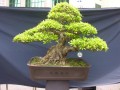 DSCN2788