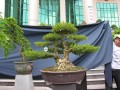 DSCN2748