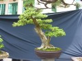 DSCN2786