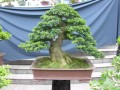 DSCN2762