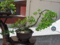 DSCN2908