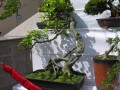 DSCN2896