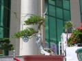DSCN2891