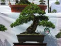 DSCN2875