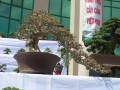 DSCN2871