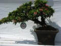 DSCN2867
