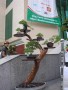 DSCN2911