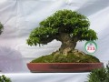 DSCN2877