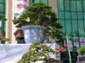 DSCN2870