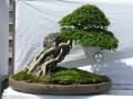 DSCN2866