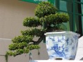DSCN2902