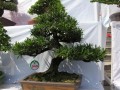 DSCN2878