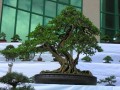 DSCN2873