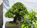 DSCN2903