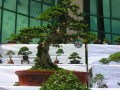 DSCN2874