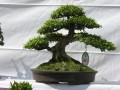DSCN2884