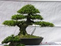 DSCN2889