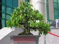 DSCN2901