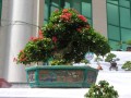 DSCN2888