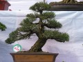 DSCN2876