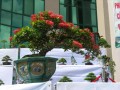 DSCN2872