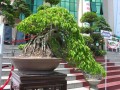 DSCN2861