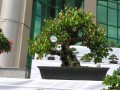 DSCN2883
